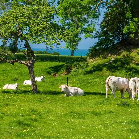 Casa vacanze La Parenthèse Cauchoise